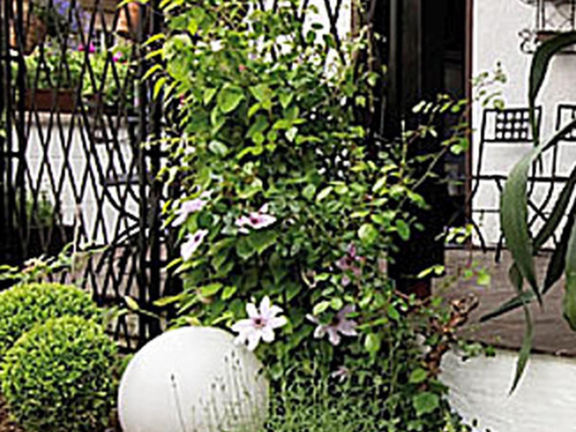 Apartment Dora Brand
